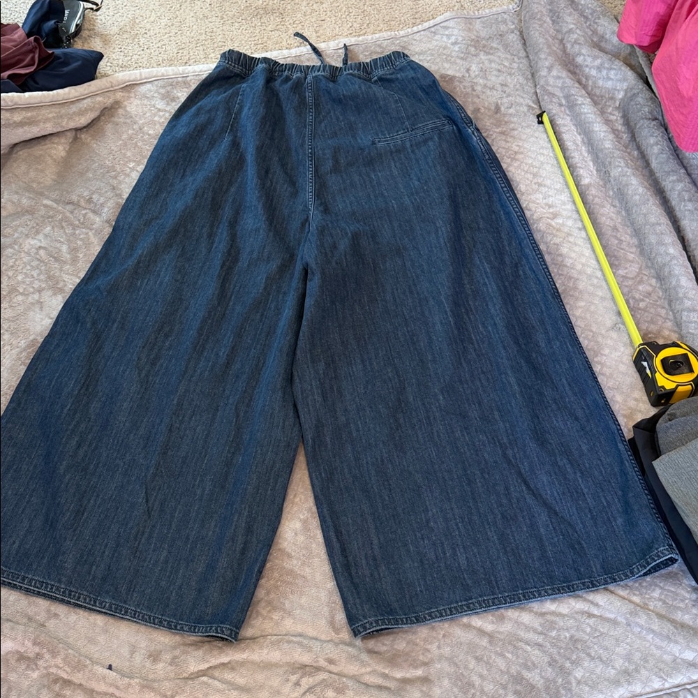 Sofie D'Hoore Indigo Wide-Leg Denim pants - Picture 12 of 14